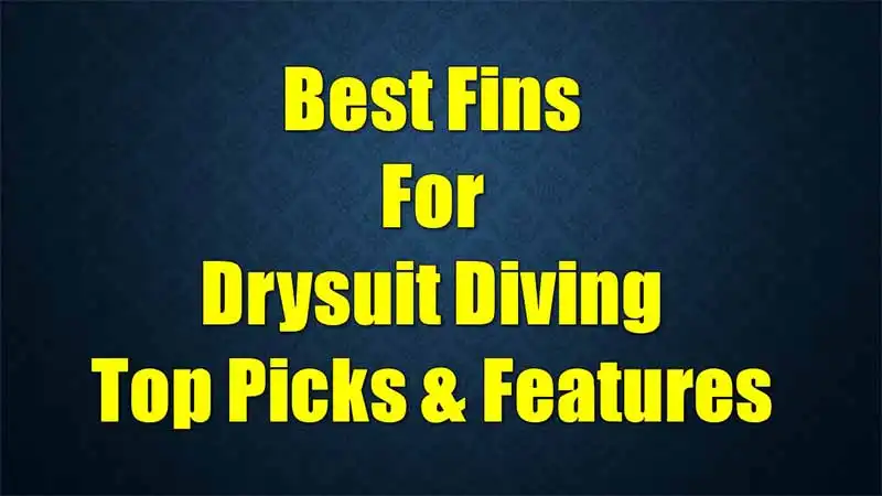 best-fins-drysuit-diving