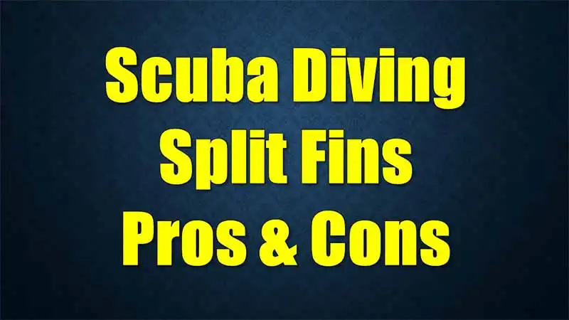 split-fins-pros-cons